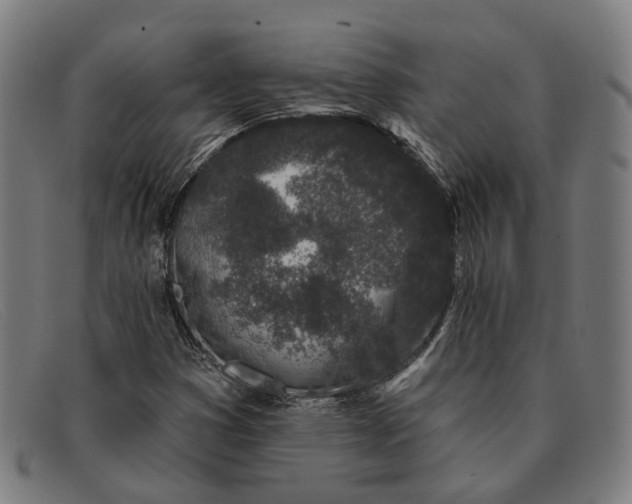 X0000091331353200708311429