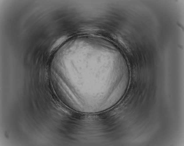 X0000091331354200708311429