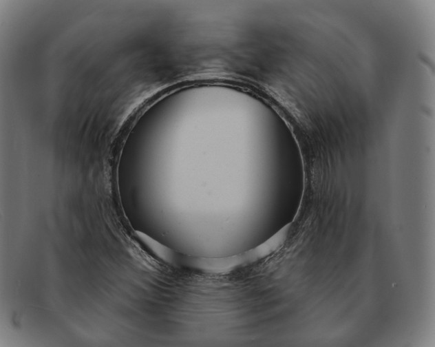 X0000091331356200708311429