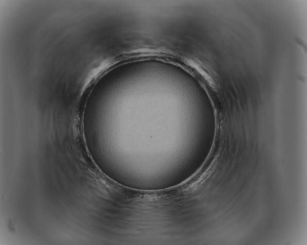 X0000091331357200708311429