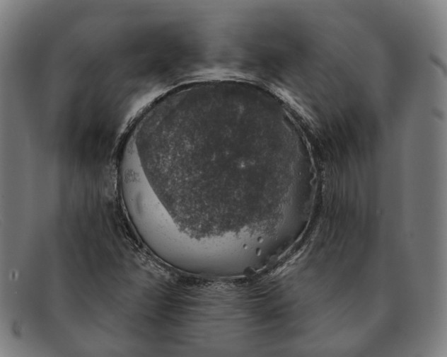 X0000091331358200708311429