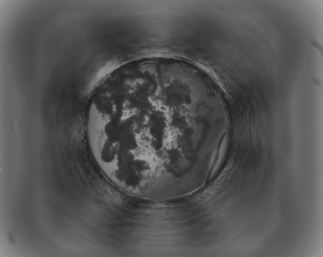 X0000091331359200708311429