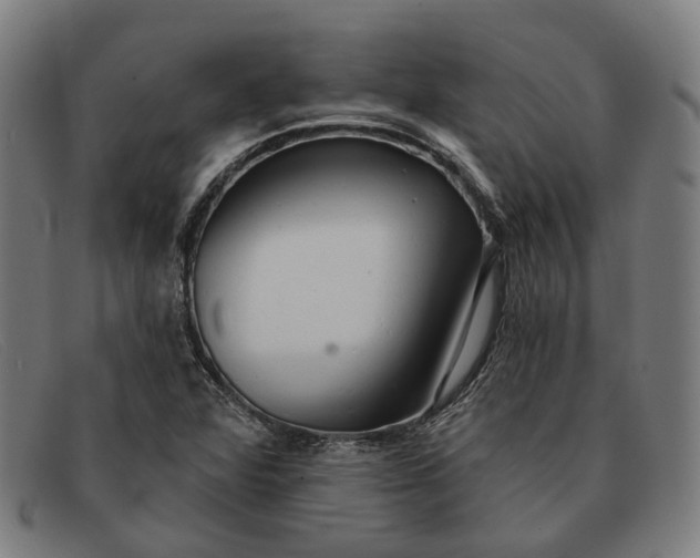 X0000091331360200708311429