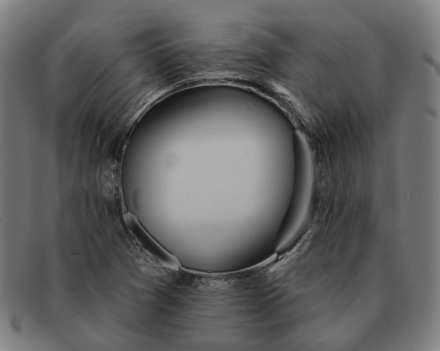 X0000091331361200708311428