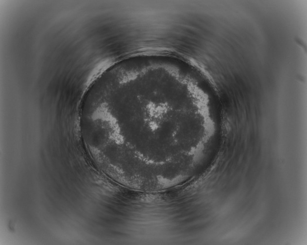 X0000091331362200708311428