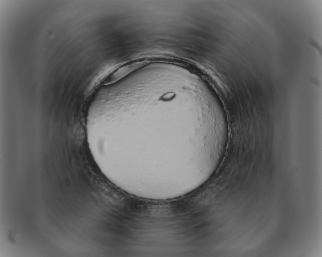 X0000091331363200708311428