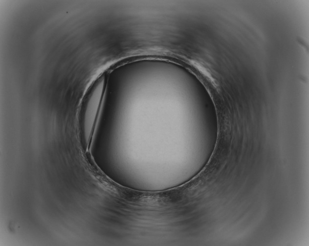 X0000091331364200708311428