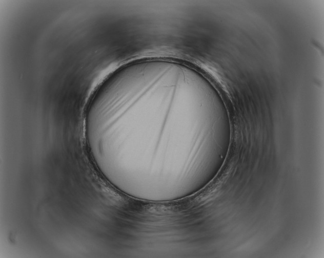 X0000091331366200708311428