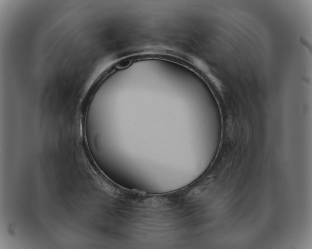 X0000091331368200708311428