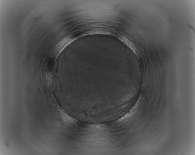 X0000091331369200708311428