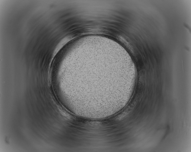 X0000091331370200708311428