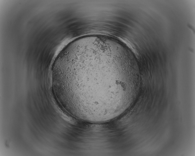 X0000091331371200708311428