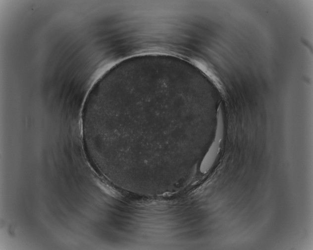 X0000091331372200708311428