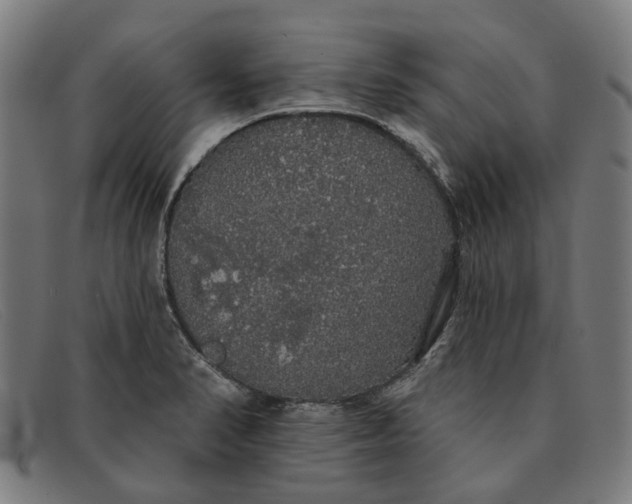 X0000091331374200708311428