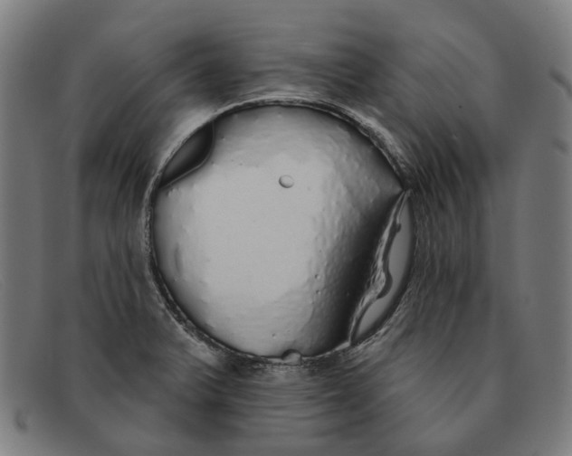 X0000091331375200708311428