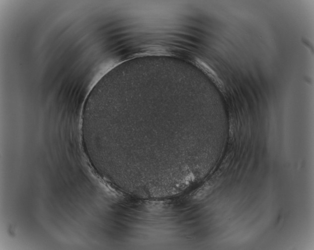 X0000091331378200708311428