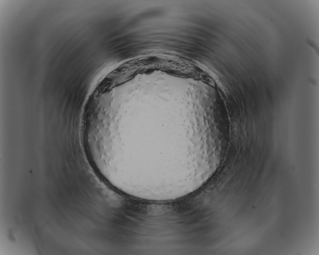 X0000091331379200708311428