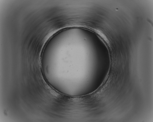 X0000091331380200708311428