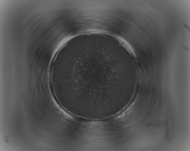 X0000091331381200708311428