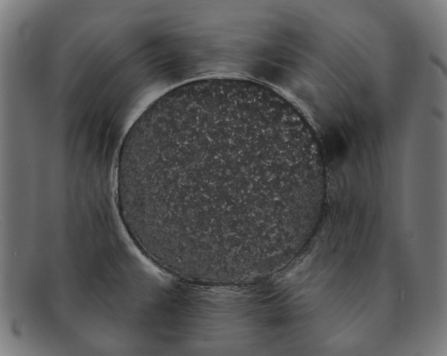 X0000091331383200708311428