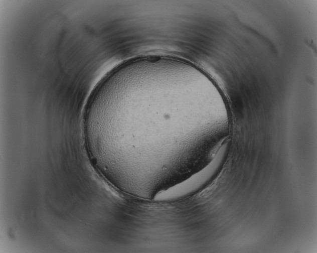 X0000091331384200708311428