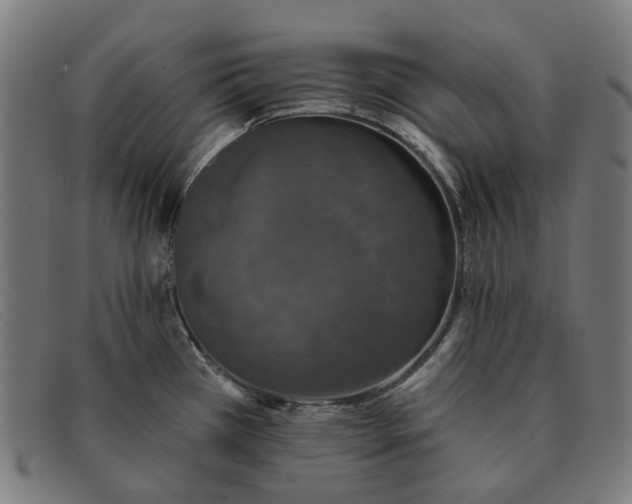 X0000091331385200708311428