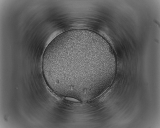 X0000091331386200708311428