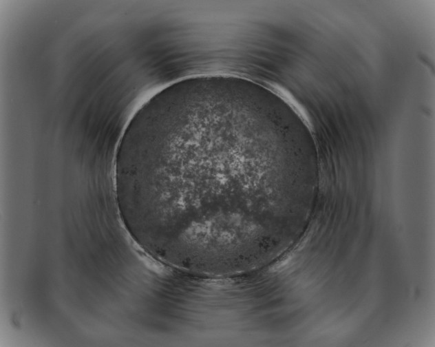 X0000091331388200708311428