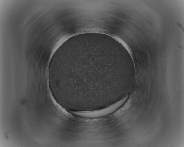 X0000091331389200708311428