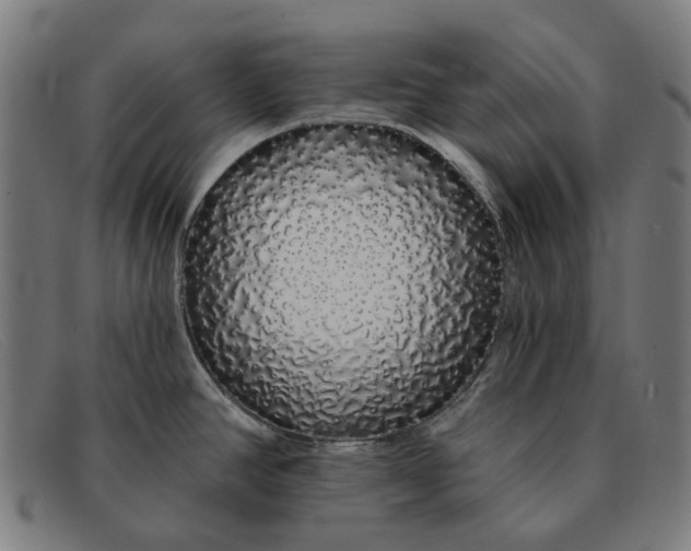 X0000091331390200708311428