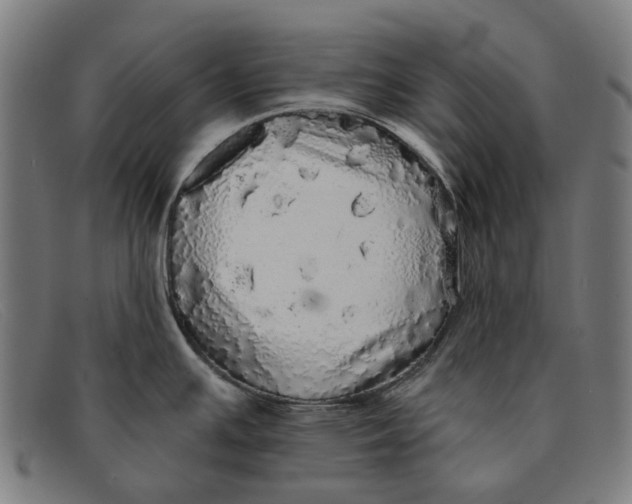 X0000091331391200708311428