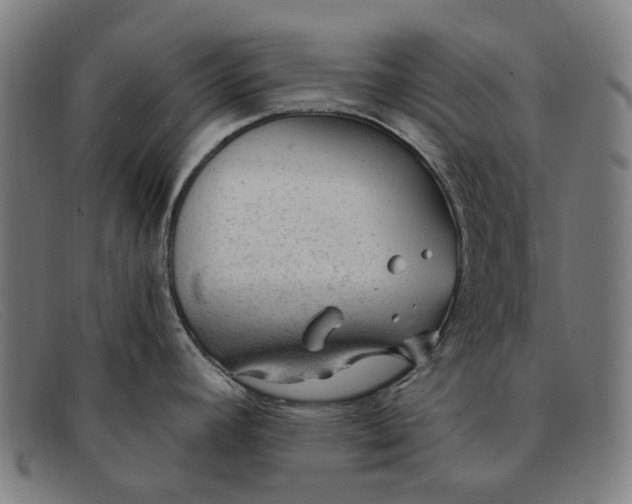 X0000091331392200708311428