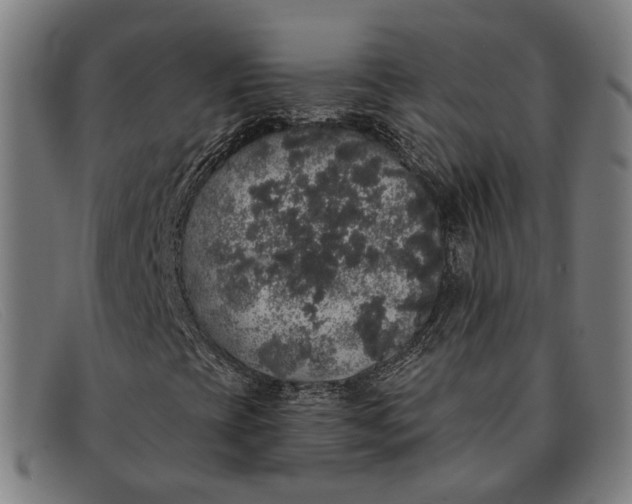 X0000091331393200708311428