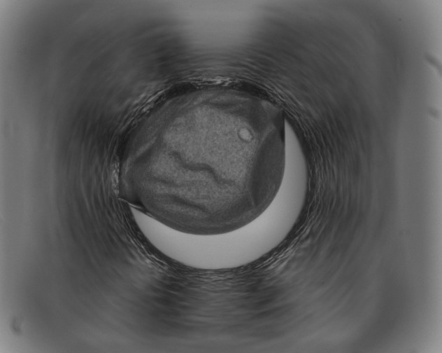 X0000091331394200708311428