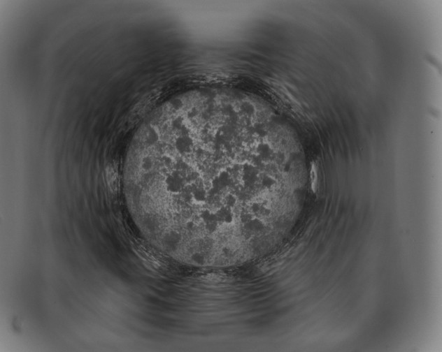 X0000091331395200708311428