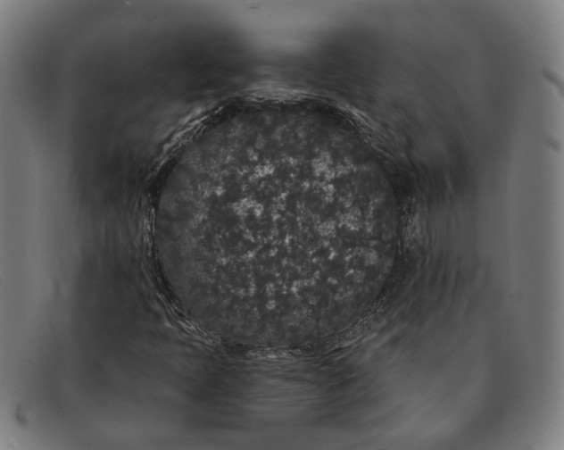 X0000091331397200708311428