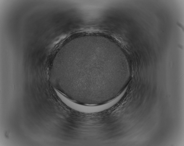 X0000091331398200708311428