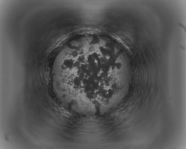 X0000091331399200708311428