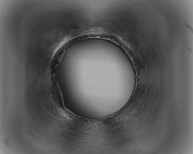 X0000091331400200708311428