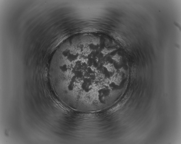 X0000091331401200708311428