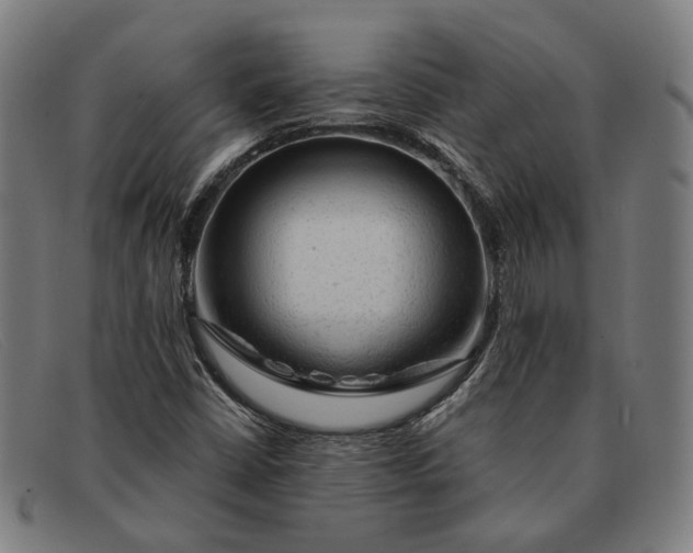 X0000091331402200708311428