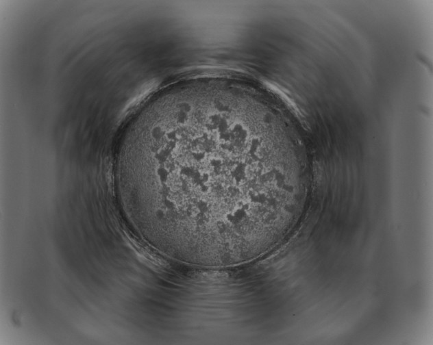 X0000091331403200708311428