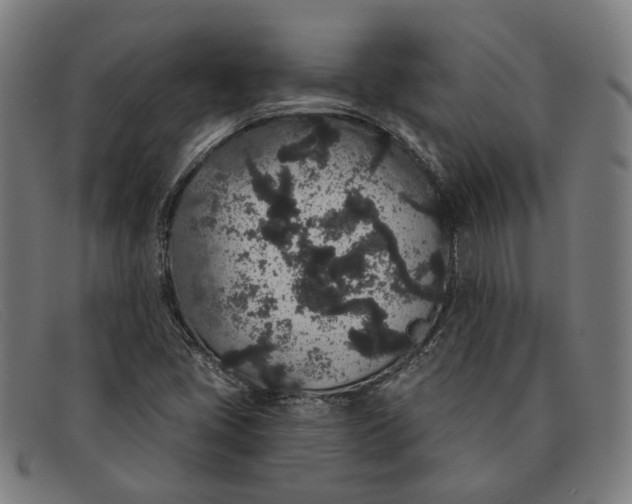 X0000091331405200708311428