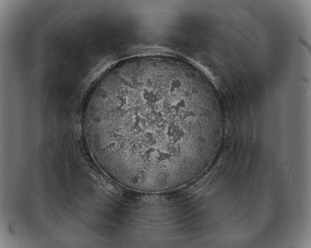 X0000091331407200708311428