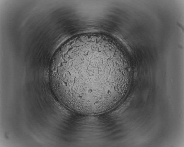 X0000091331409200708311428