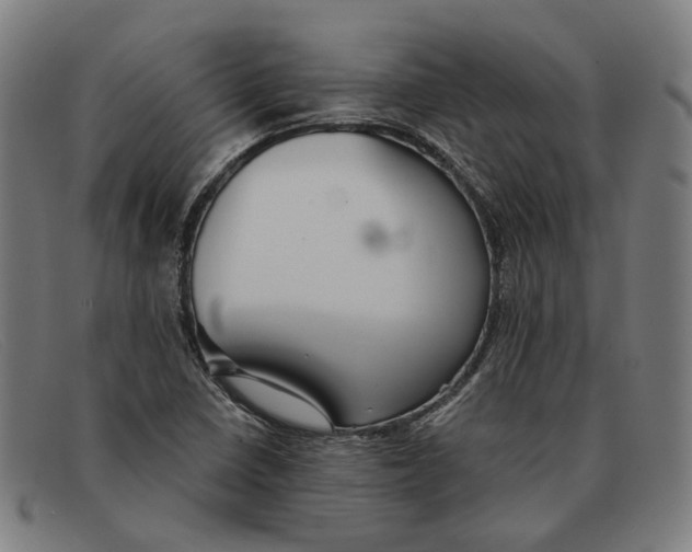 X0000091331410200708311428