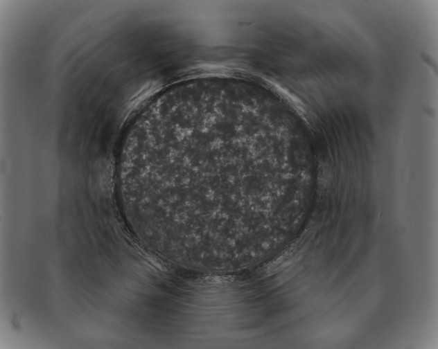 X0000091331411200708311428