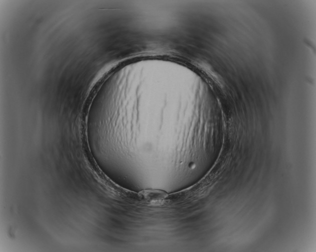 X0000091331412200708311428