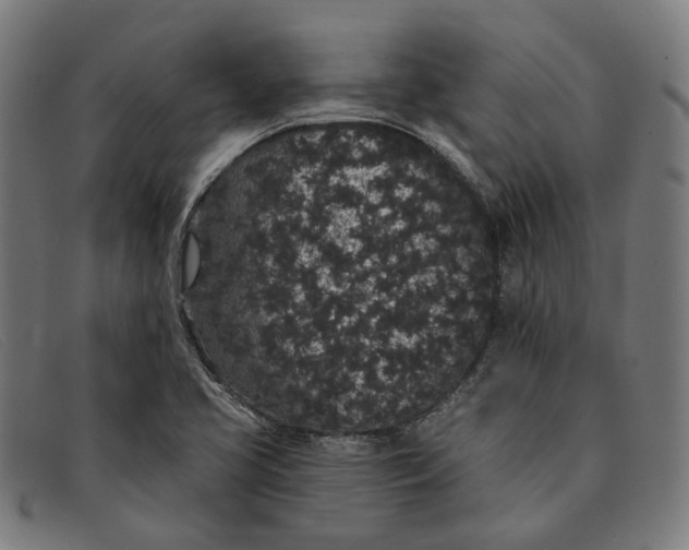 X0000091331413200708311428