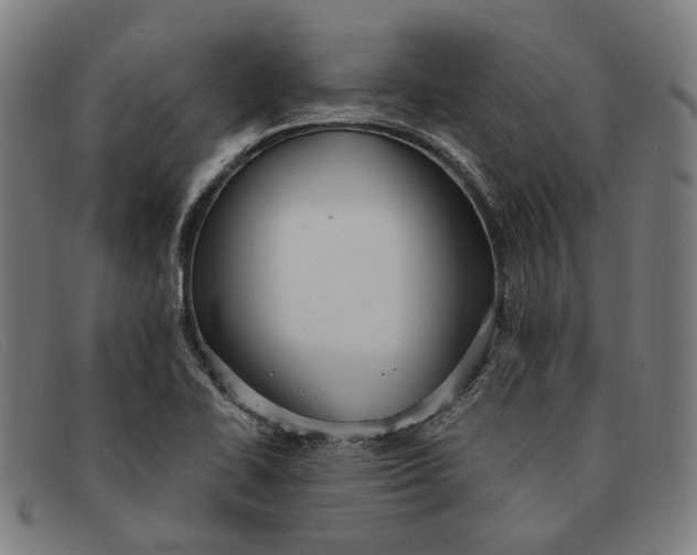 X0000091331414200708311428